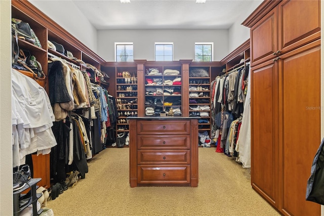 spacious closet featuring light colored carpet