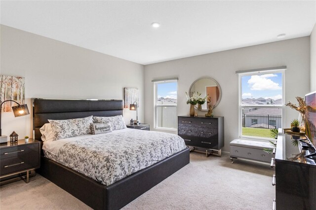 bedroom with multiple windows and light colored carpet