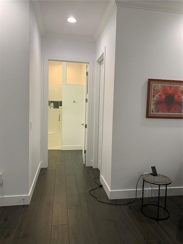 corridor featuring crown molding and dark hardwood / wood-style floors