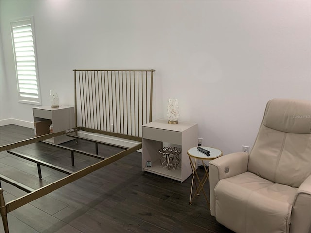 living area with dark wood-type flooring