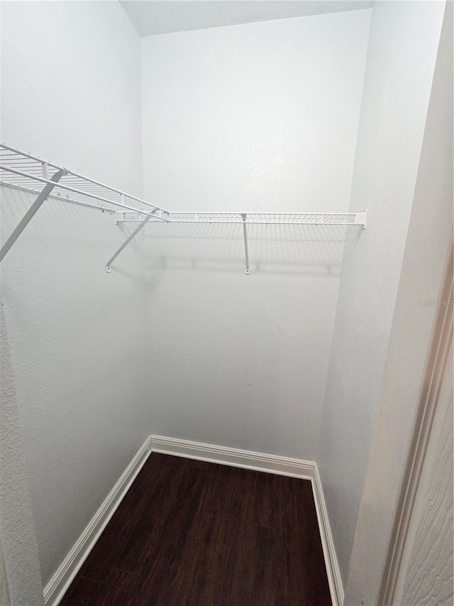 walk in closet featuring hardwood / wood-style flooring