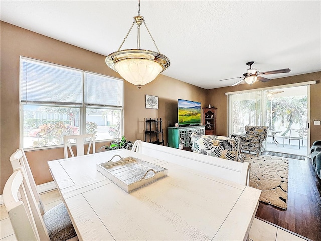 dining space with light hardwood / wood-style flooring, ceiling fan, and a textured ceiling