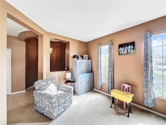 living area featuring light colored carpet and plenty of natural light