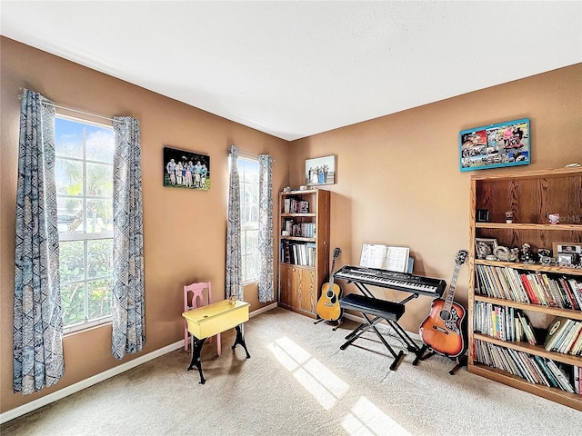 misc room with carpet flooring and a wealth of natural light