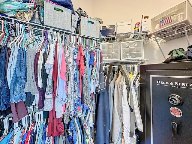 view of spacious closet