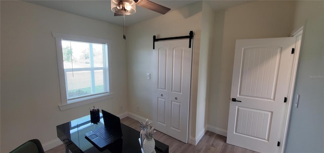 office featuring ceiling fan, a barn door, and light wood-type flooring