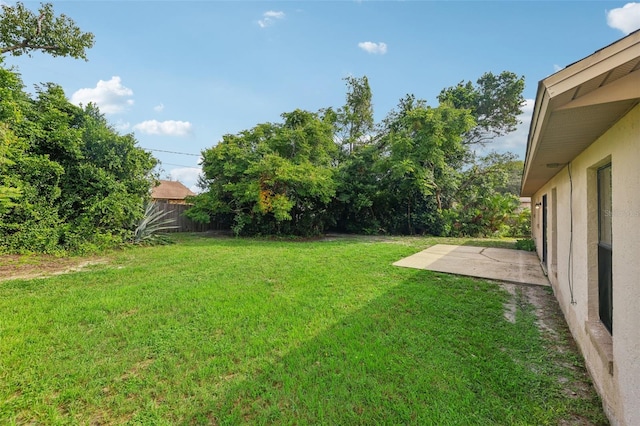 view of yard featuring a patio area