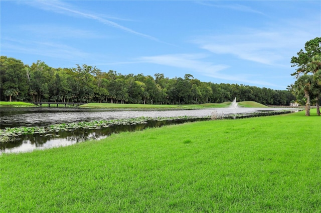 property view of water