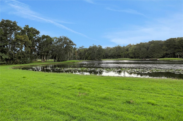 property view of water