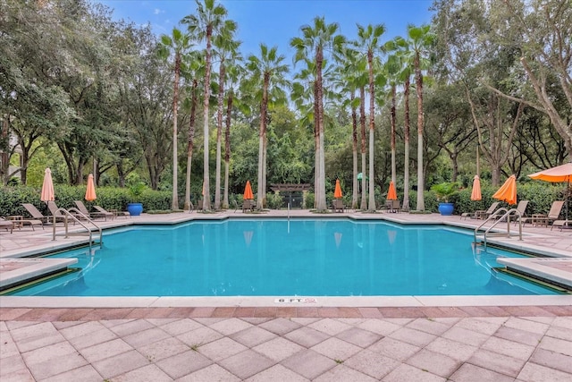 view of pool with a patio