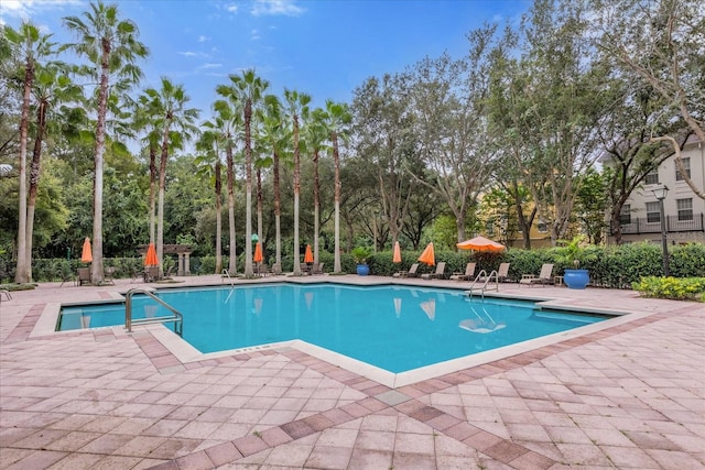 view of pool with a patio area