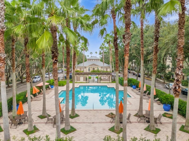 view of swimming pool featuring a patio area