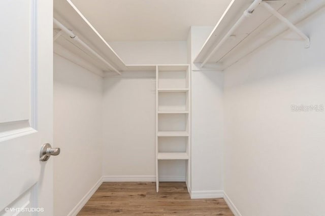 walk in closet featuring light wood-type flooring