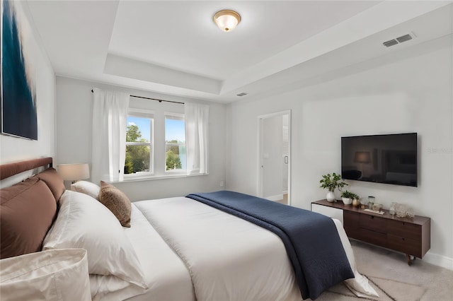 carpeted bedroom featuring a raised ceiling