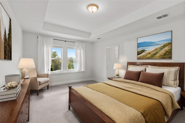 bedroom featuring light colored carpet and a raised ceiling