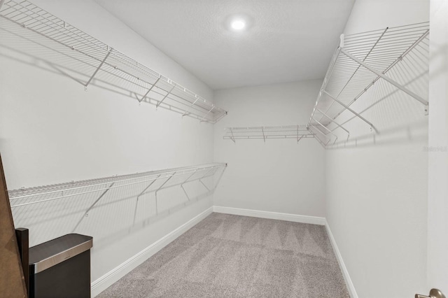 walk in closet featuring carpet floors