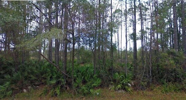 NE 65th Ave, Citra FL, 32113 land for sale