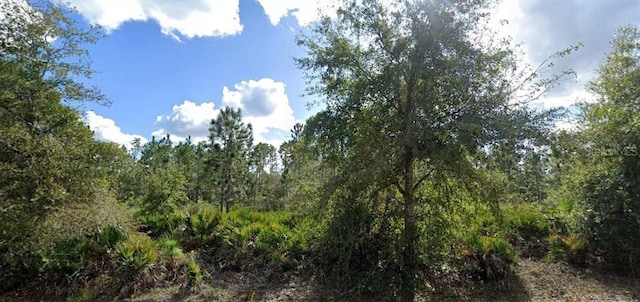 1109 Alba Dr, Indian Lake Estates FL, 33855 land for sale