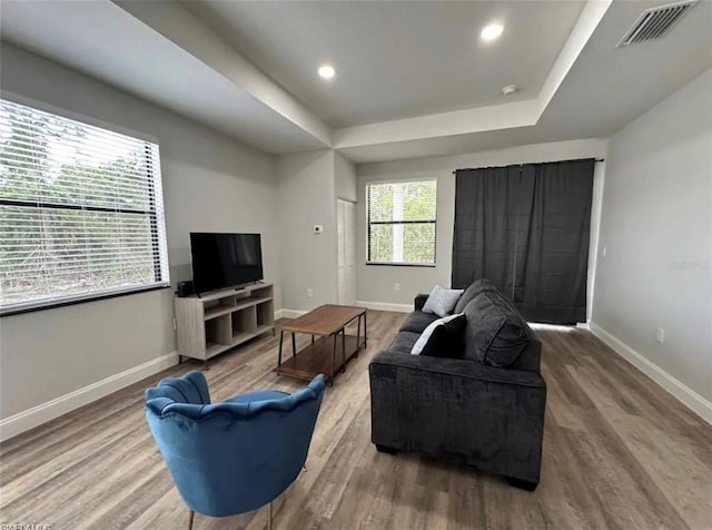 living room featuring a raised ceiling and wood-type flooring