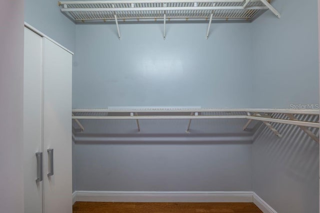 walk in closet with hardwood / wood-style flooring