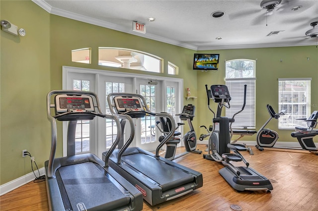 gym featuring ceiling fan, plenty of natural light, and wood-type flooring