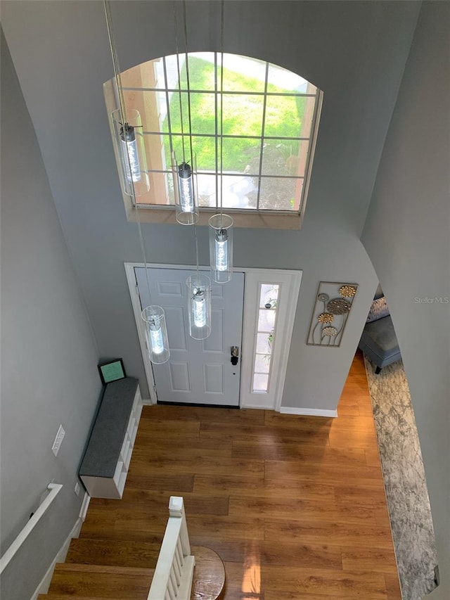 foyer with hardwood / wood-style flooring and a high ceiling