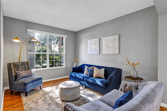 living room with a textured ceiling and wood-type flooring