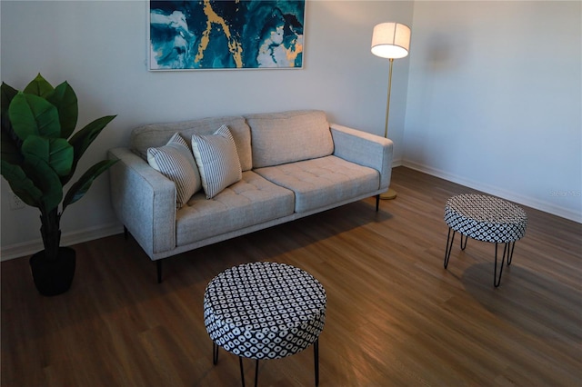 living room featuring dark hardwood / wood-style floors