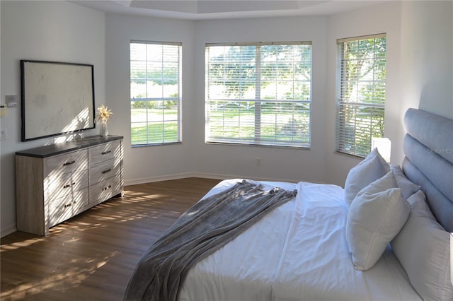 bedroom with dark hardwood / wood-style floors and multiple windows