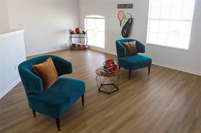 living area with dark hardwood / wood-style flooring and a healthy amount of sunlight