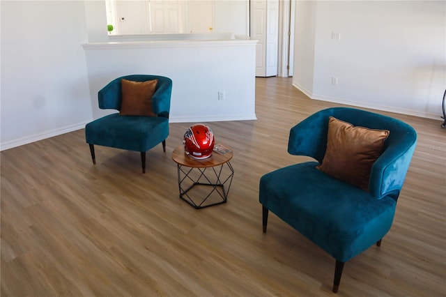 living area featuring wood-type flooring