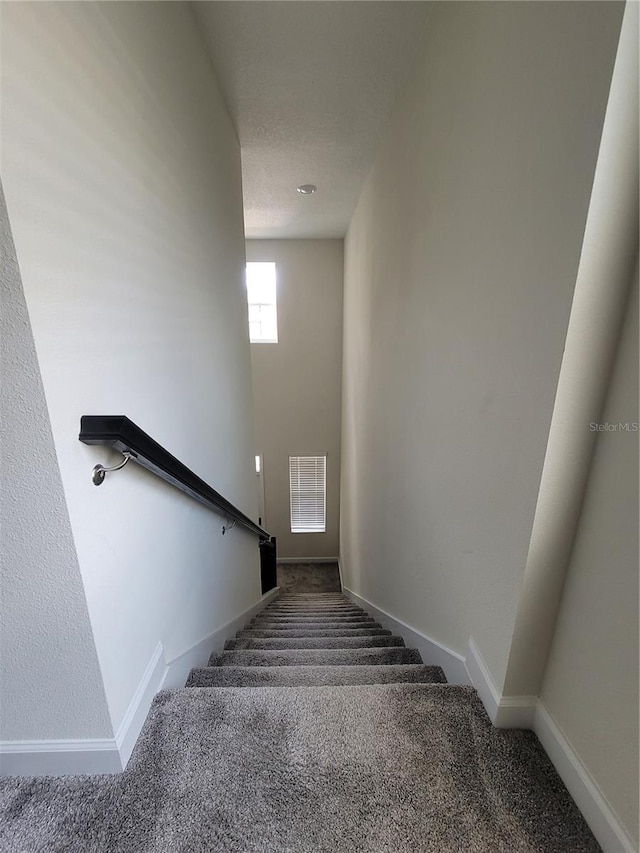 stairs with carpet floors