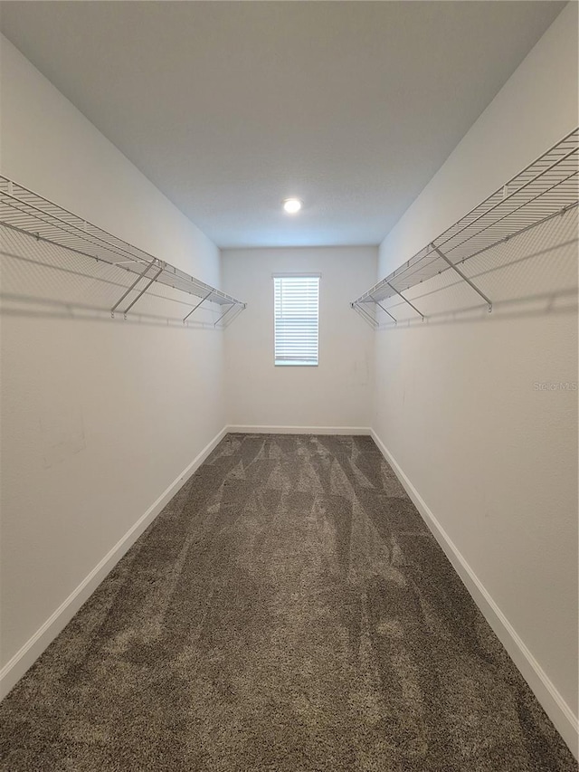 spacious closet featuring dark colored carpet