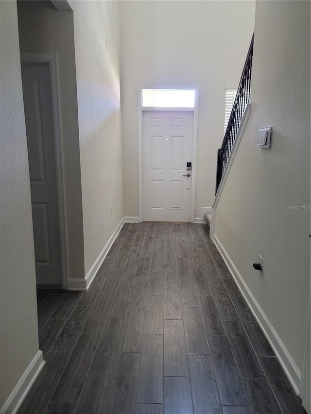 foyer entrance featuring dark wood-type flooring