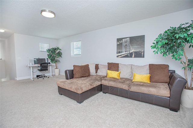 living room featuring carpet floors and a textured ceiling