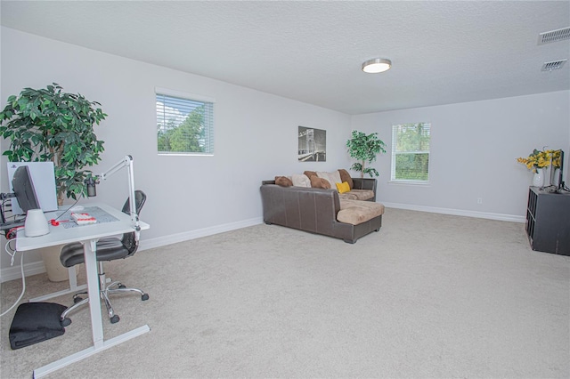 carpeted home office with a textured ceiling and plenty of natural light