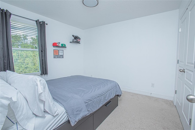 bedroom with carpet floors