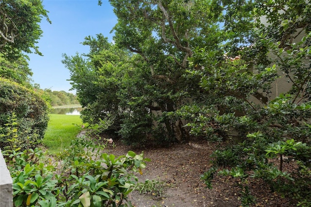 view of yard with a water view