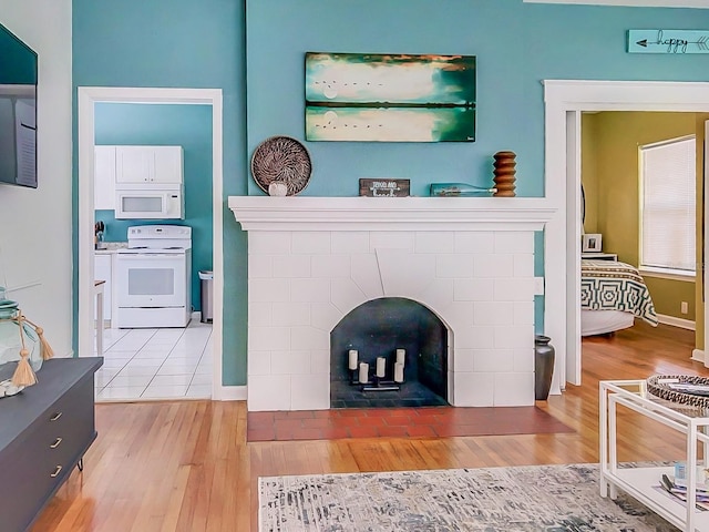 living room with wood-type flooring and a fireplace