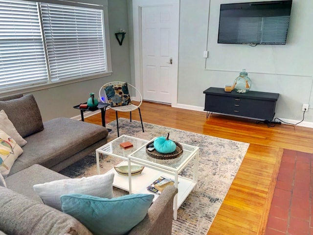 living room with wood-type flooring