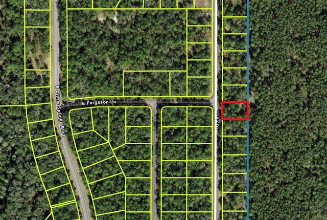 9487 N Lily Dr, Citrus Springs FL, 34434 land for sale