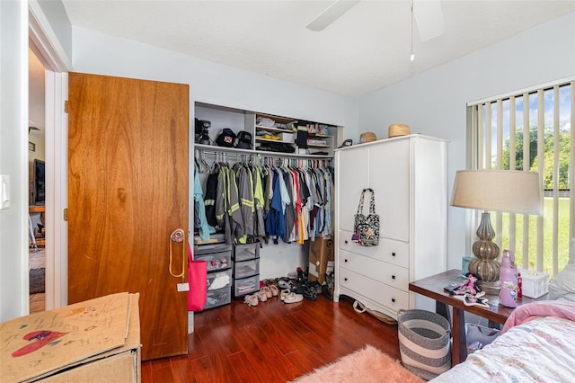 spacious closet featuring ceiling fan and dark hardwood / wood-style flooring