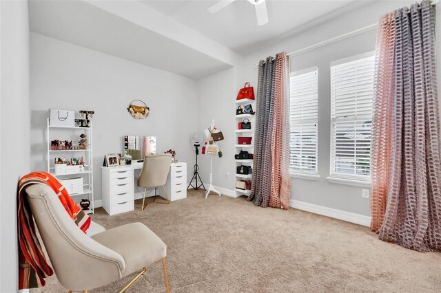 carpeted office space featuring ceiling fan