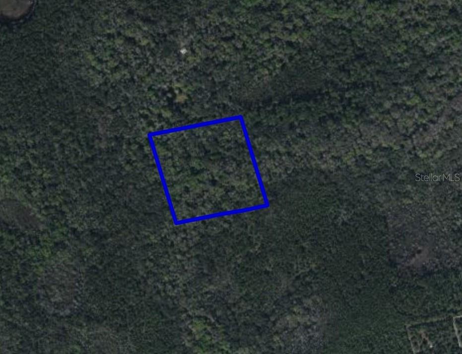 095 Pine Needle Rd, Mims, FL 32754 - photo 2