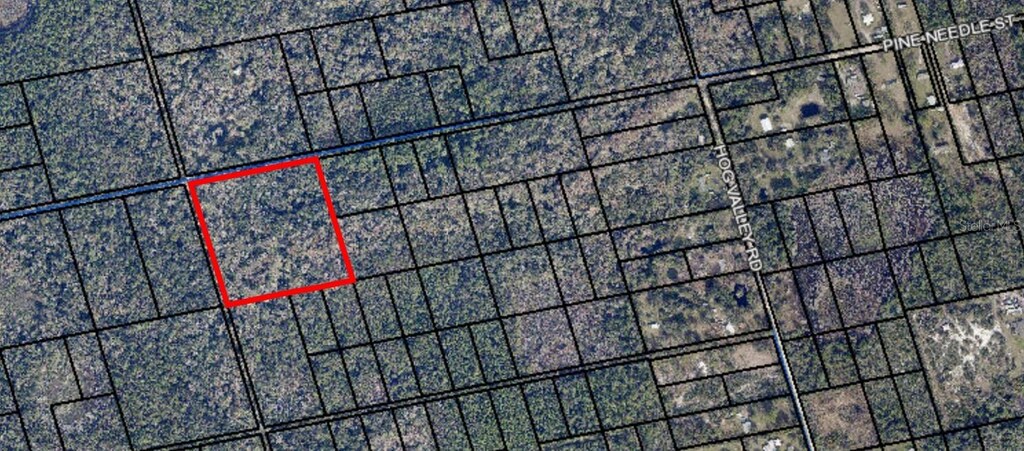 095 Pine Needle Rd, Mims, FL 32754 - photo 3