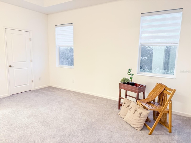 living area with light carpet