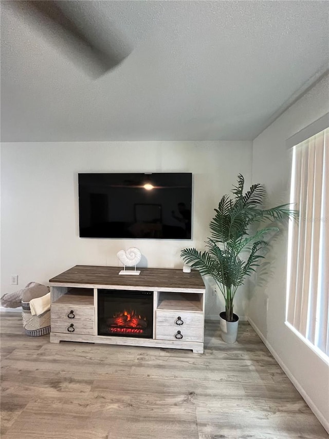 living room featuring hardwood / wood-style floors and a healthy amount of sunlight