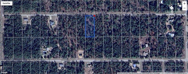 TBD SW Blue Berry Ln, Dunnellon FL, 34431 land for sale