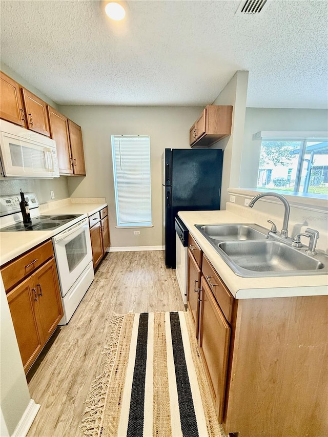 kitchen featuring light hardwood / wood-style floors, a textured ceiling, sink, and white appliances