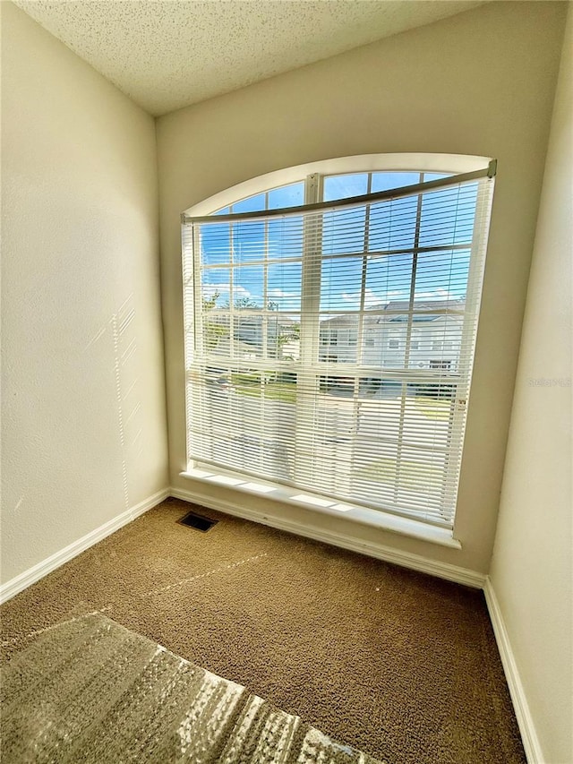 spare room featuring a textured ceiling and carpet